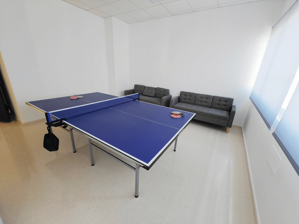 Mesa de ping pong